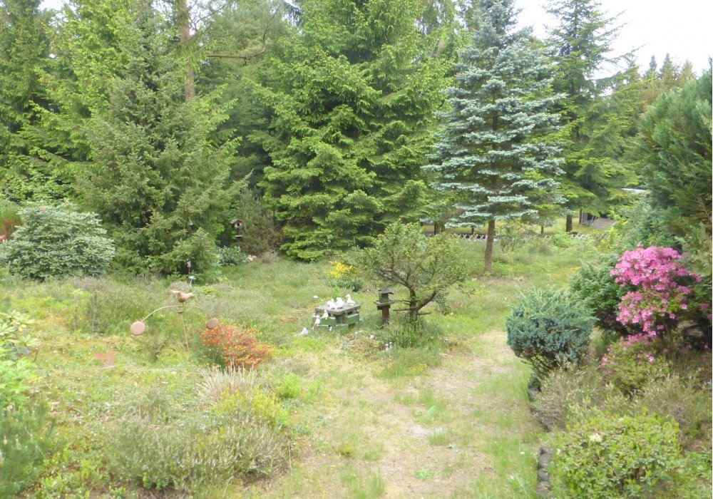 Bild 8