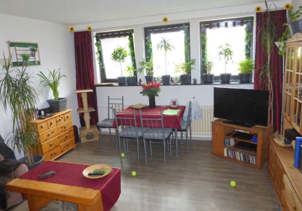Bild 4